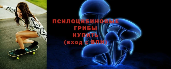 ешки Гусь-Хрустальный
