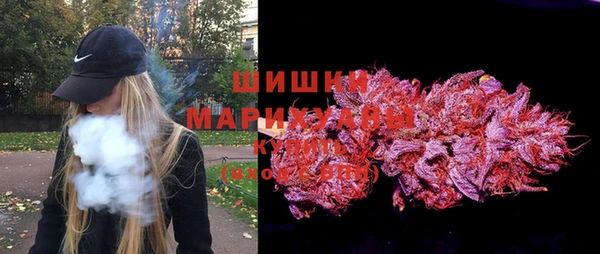 ешки Гусь-Хрустальный