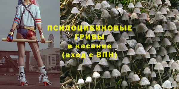 MESCALINE Сясьстрой