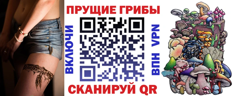 Галлюциногенные грибы GOLDEN TEACHER  цена   Десногорск 